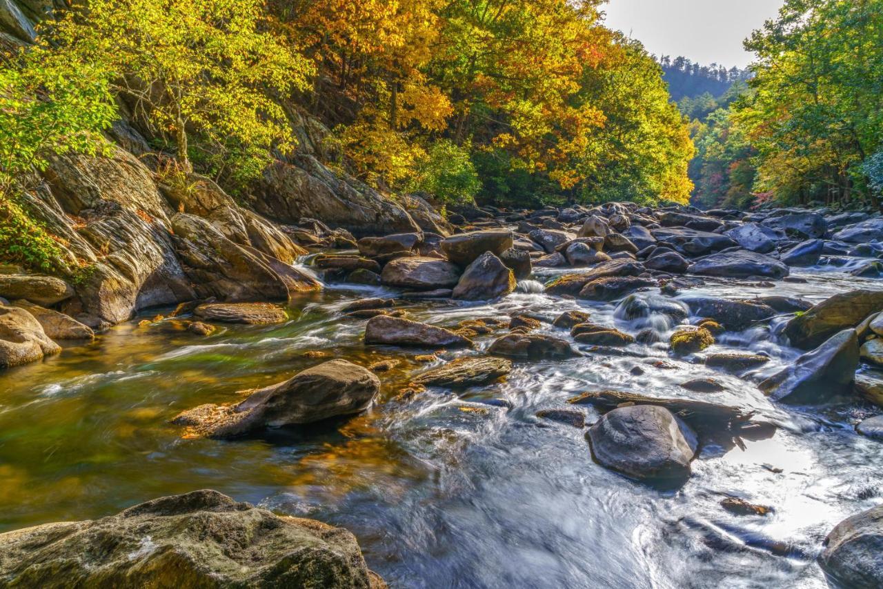 Buckhorn Βίλα Gatlinburg Εξωτερικό φωτογραφία
